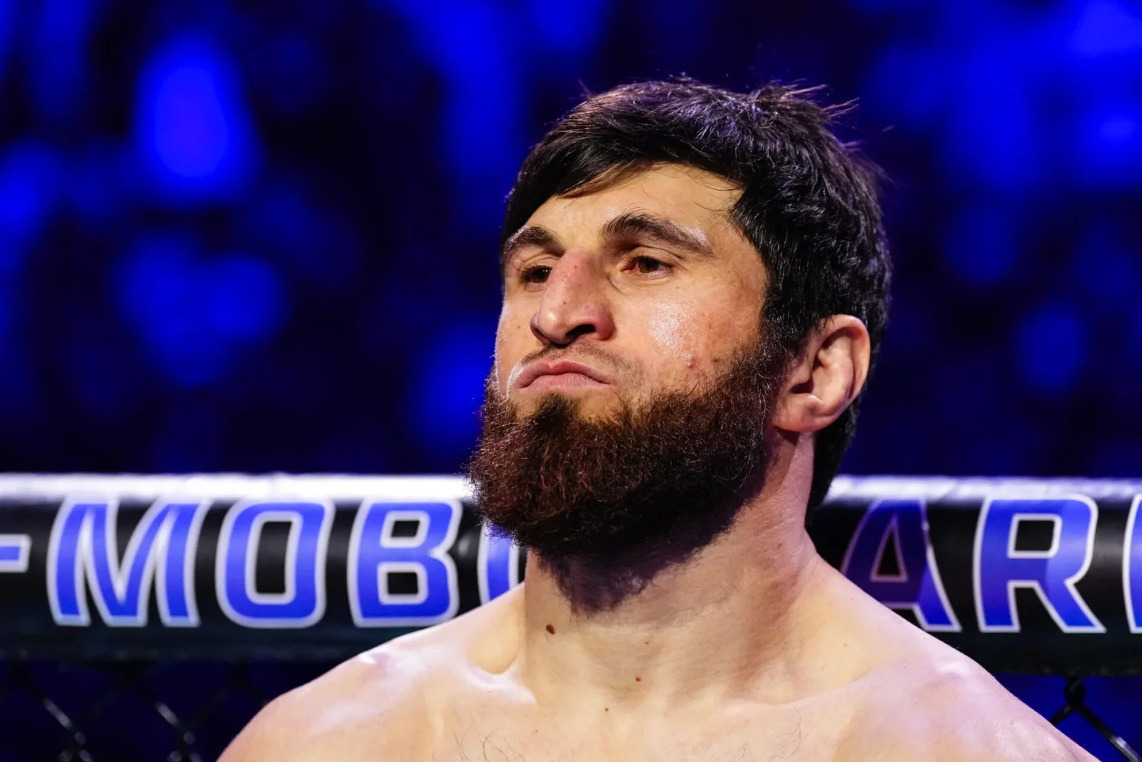 Ankalaev labels Abu Dhabi clash a 'tuneup' as Guskov steps in on short notice