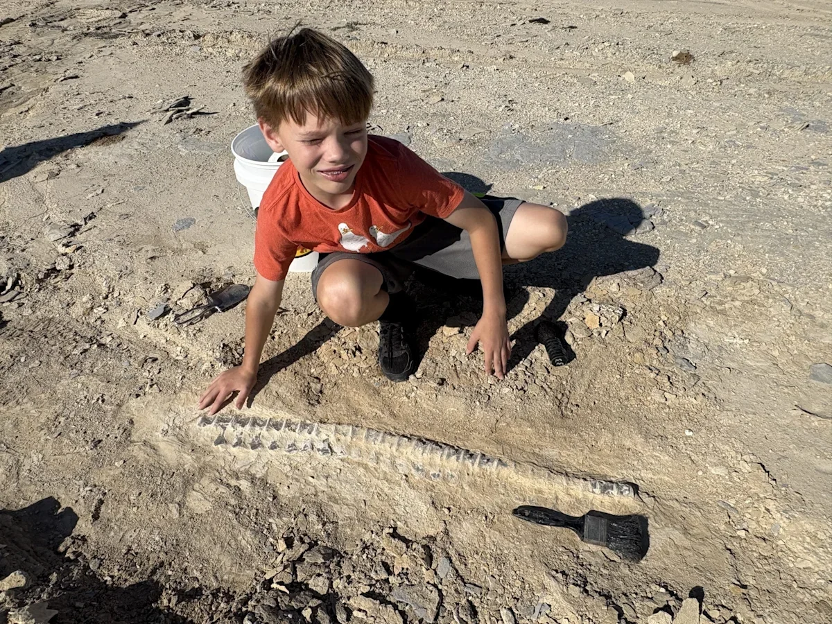 Field-trip Find: Kansas Boy Unearths Rare Prehistoric Fossil