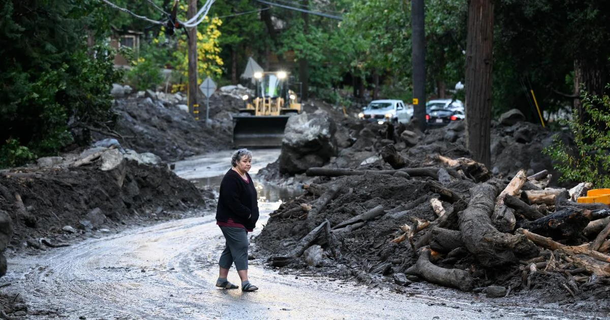 El Niño Threat Looms: California Faces Wet Winters, Flood Risks, and Shifts in Sea Life