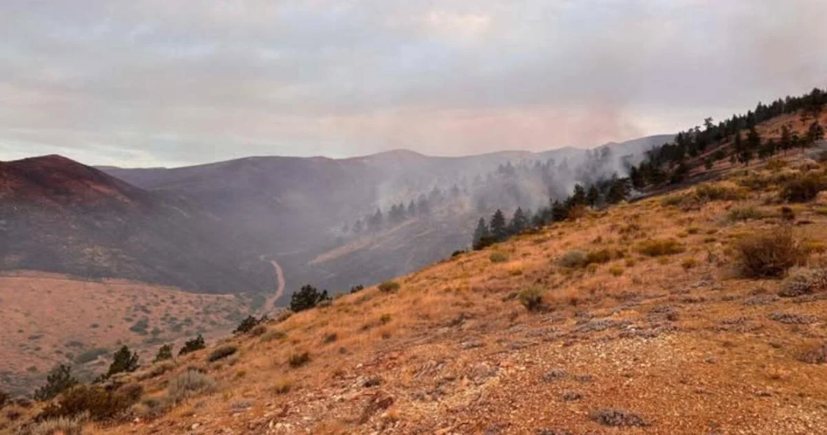 Hawk Fire Remains Uncontained as Winds Build and Evacuations Expand