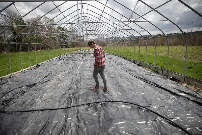 Maine bets on mental health support to help PFAS-impacted farmers