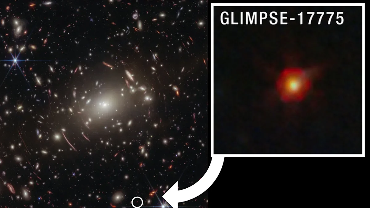 Webb data tie mysterious red dots to black-hole–bound stars