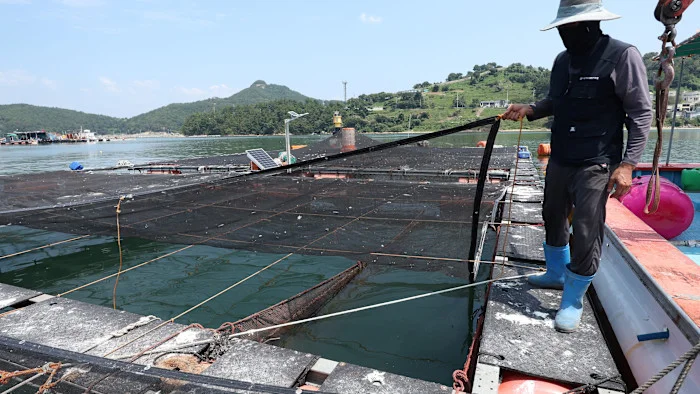 Record July Ocean Heat Signals Climate Crisis in Action