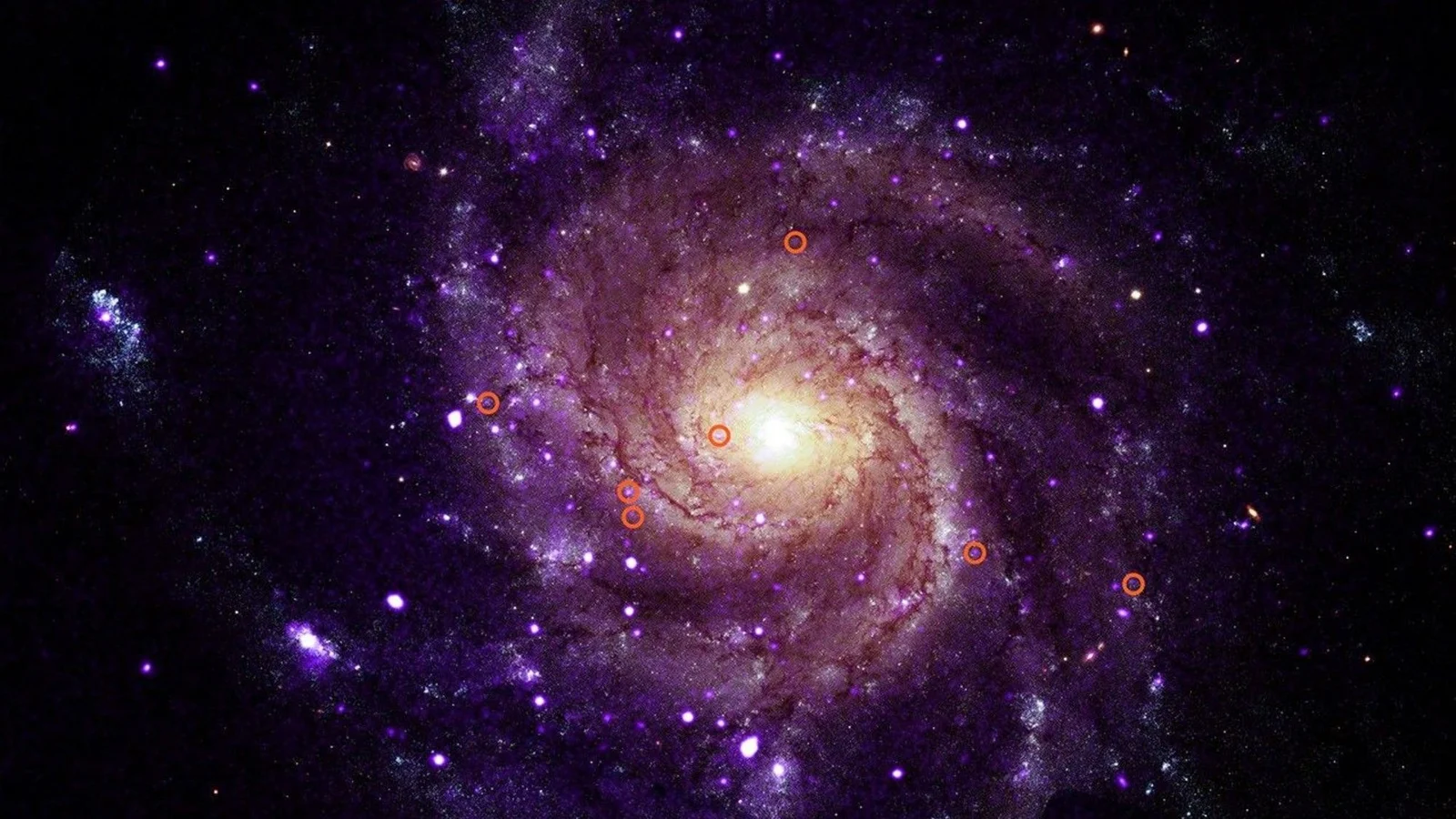 UV-bright, faint X-ray sources hint at a new class of galactic binaries