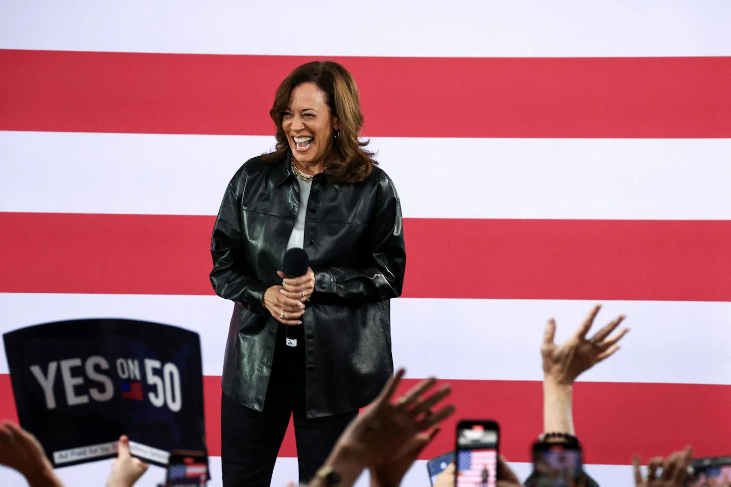 DNC Autopsy on 2024 Campaign Opens With Party Disavowal