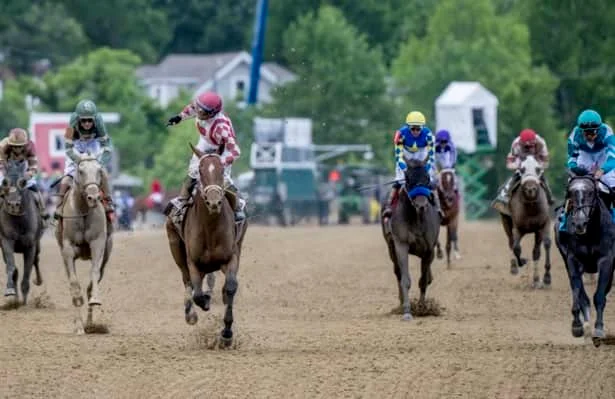 Ocelli Gears Up in Firm Preakness Field as Golden Tempo Bypasses for Belmont