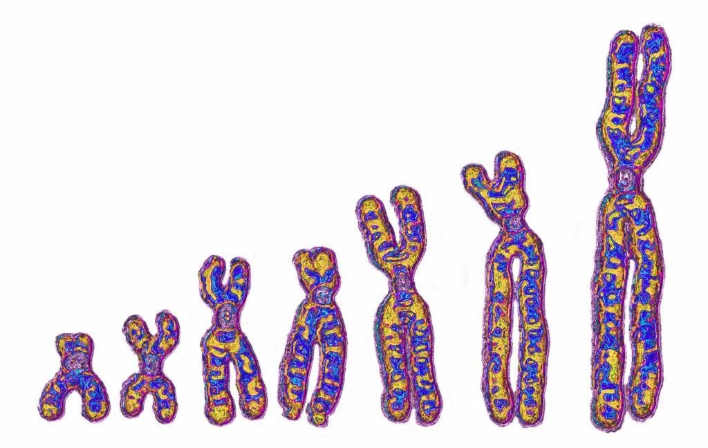 Africa’s ghost lineage left a subtle DNA imprint on all modern humans