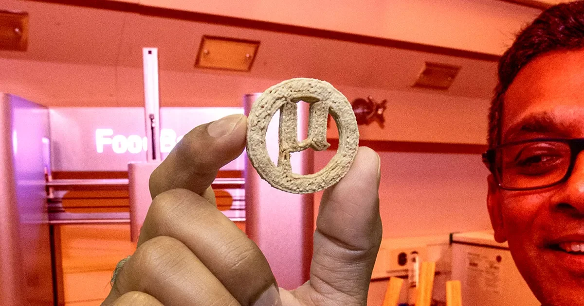 Plastic Waste Becomes Edible Cookies via 3D Printing and Engineered Yeast