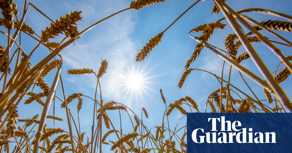 Heat at the brink: UN warns global food systems face widening crisis