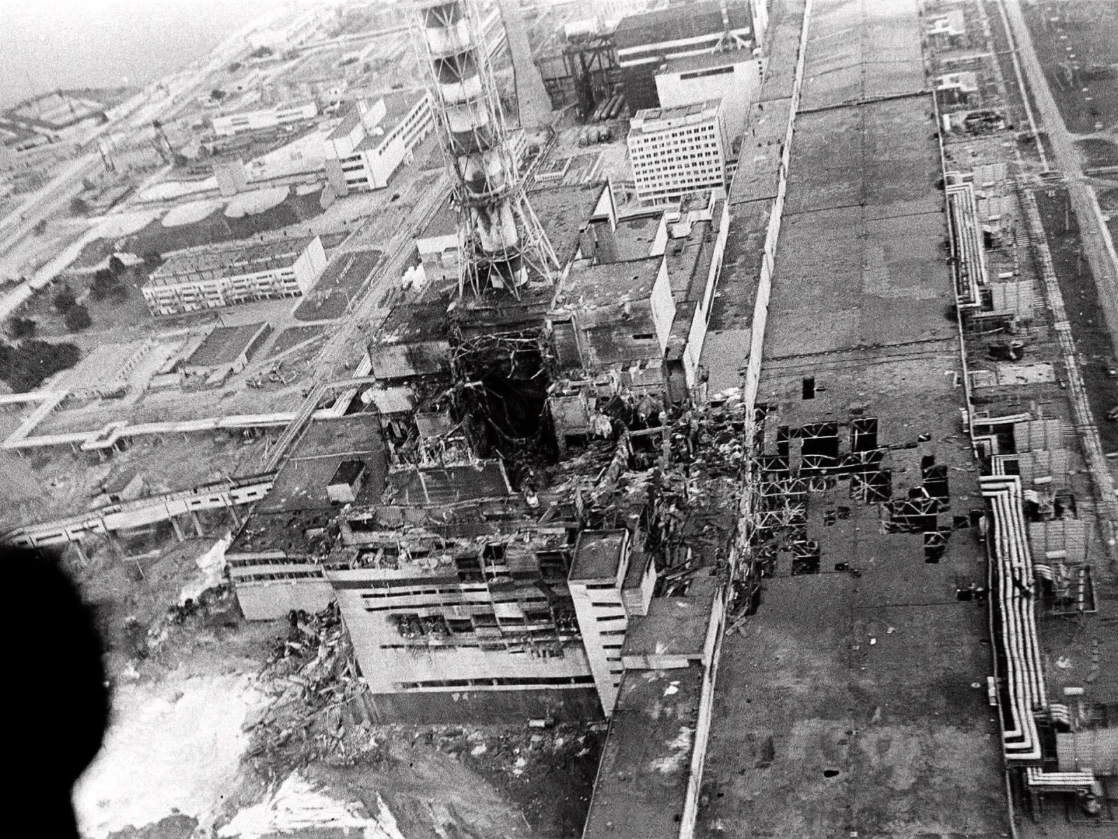 Chornobyl at 40: Life, drones and wildlife in a contested radioactive zone