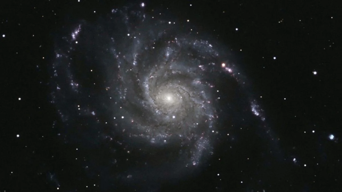 Bright and Visible: Closest Supernova to Earth in a Decade.