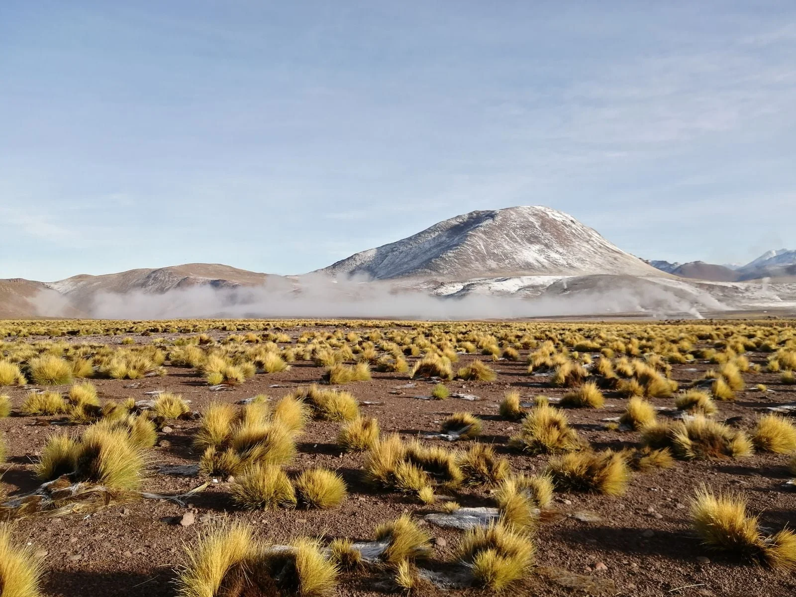 Rainless Fog Feeds Life and Water on Chile's Atacama Cliffs