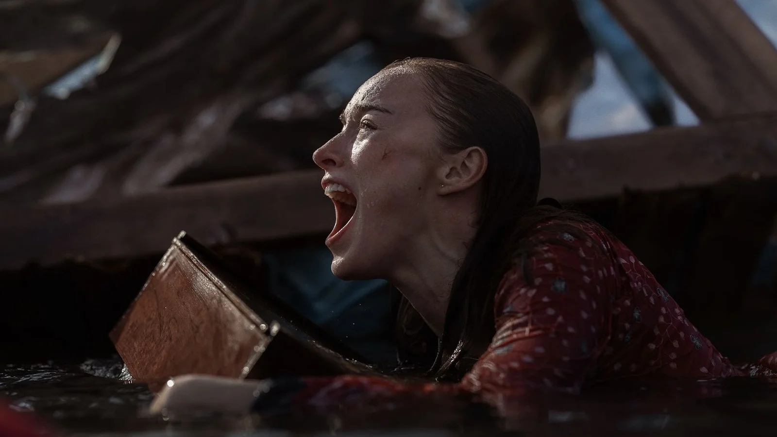 Thrash: Netflix's Shark-Disaster Flick Delivers the Guilty-Pleasure Bite