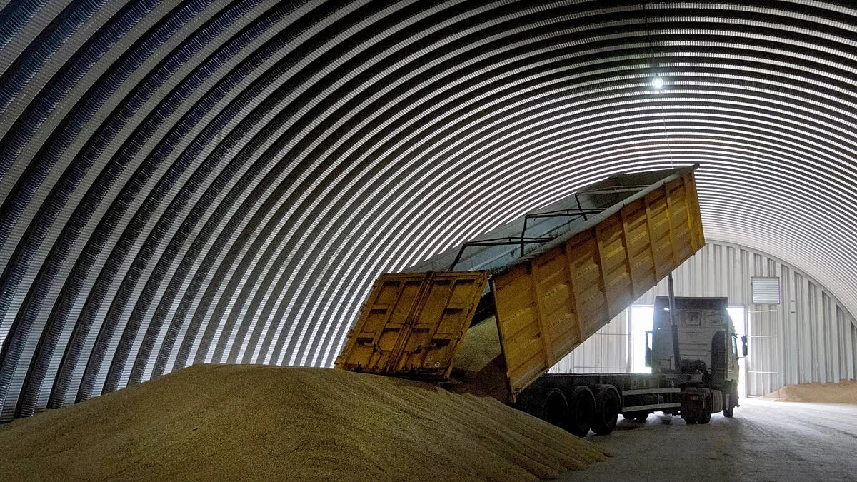 Ukraine vows action as Russia’s stolen grain reaches multiple countries