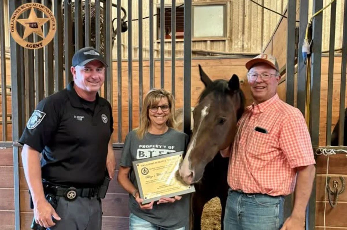 Decoy horses used in multimillion-dollar Oklahoma cocaine haul find refuge at a rescue