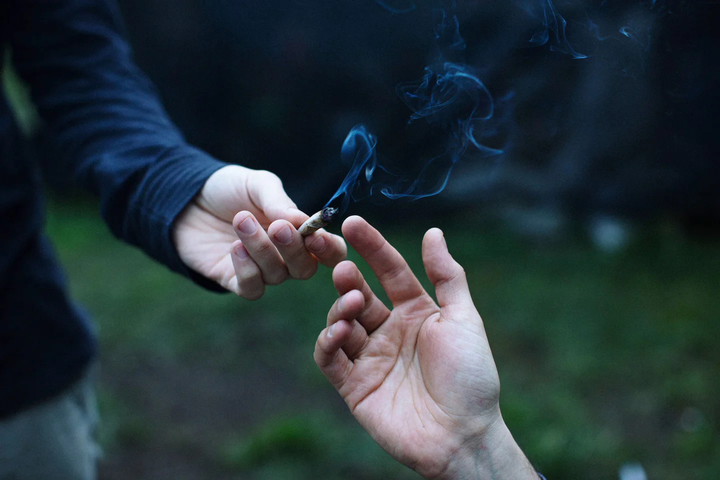 Cannabis and the aging brain: what science currently says