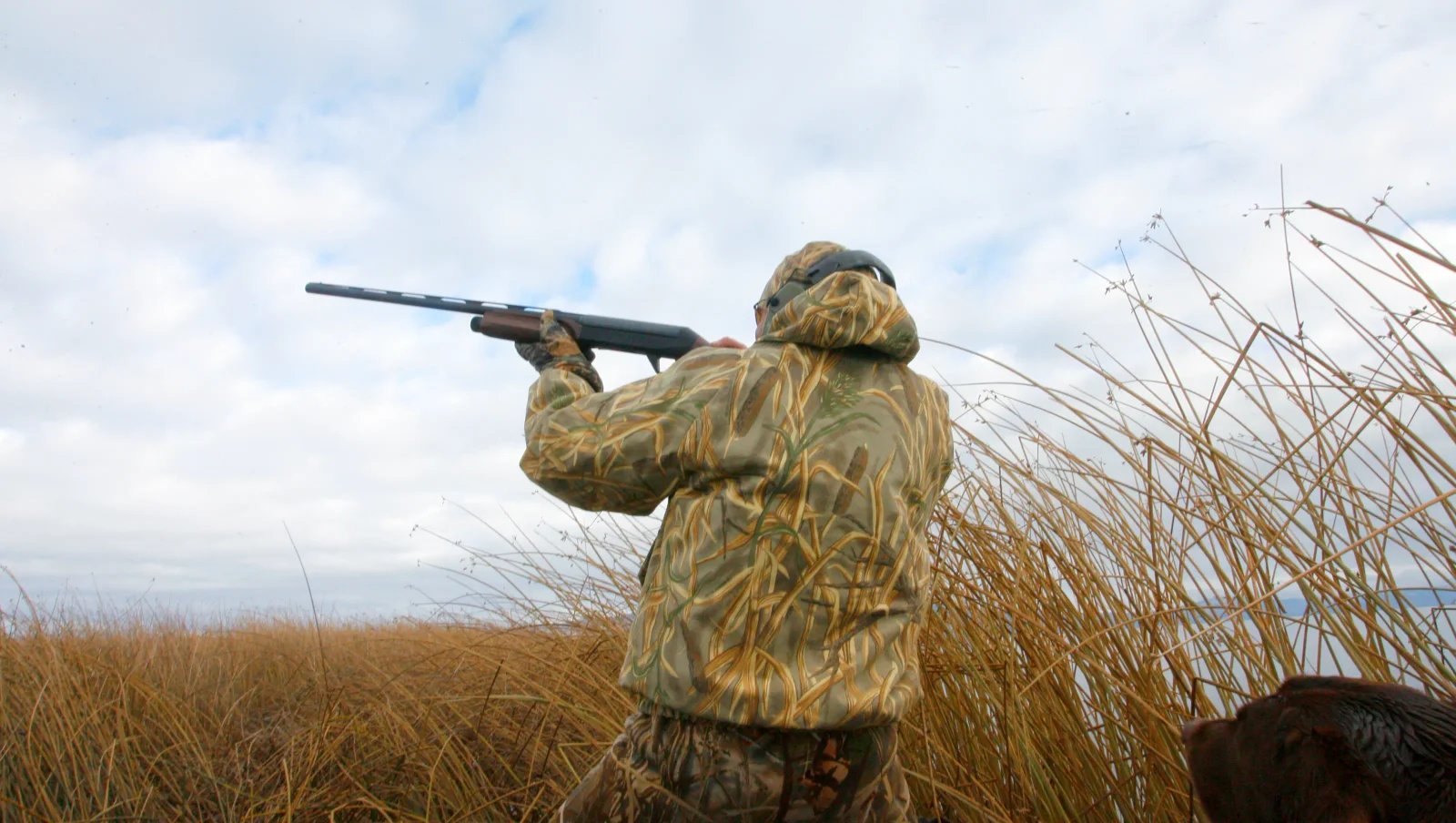 Oregon IP 28: Hunting and fishing ban won't hit November ballot