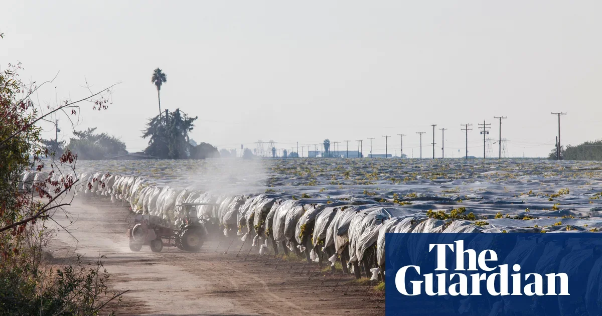 Toxic 'Forever Chemicals' Found in US Food Pesticides.