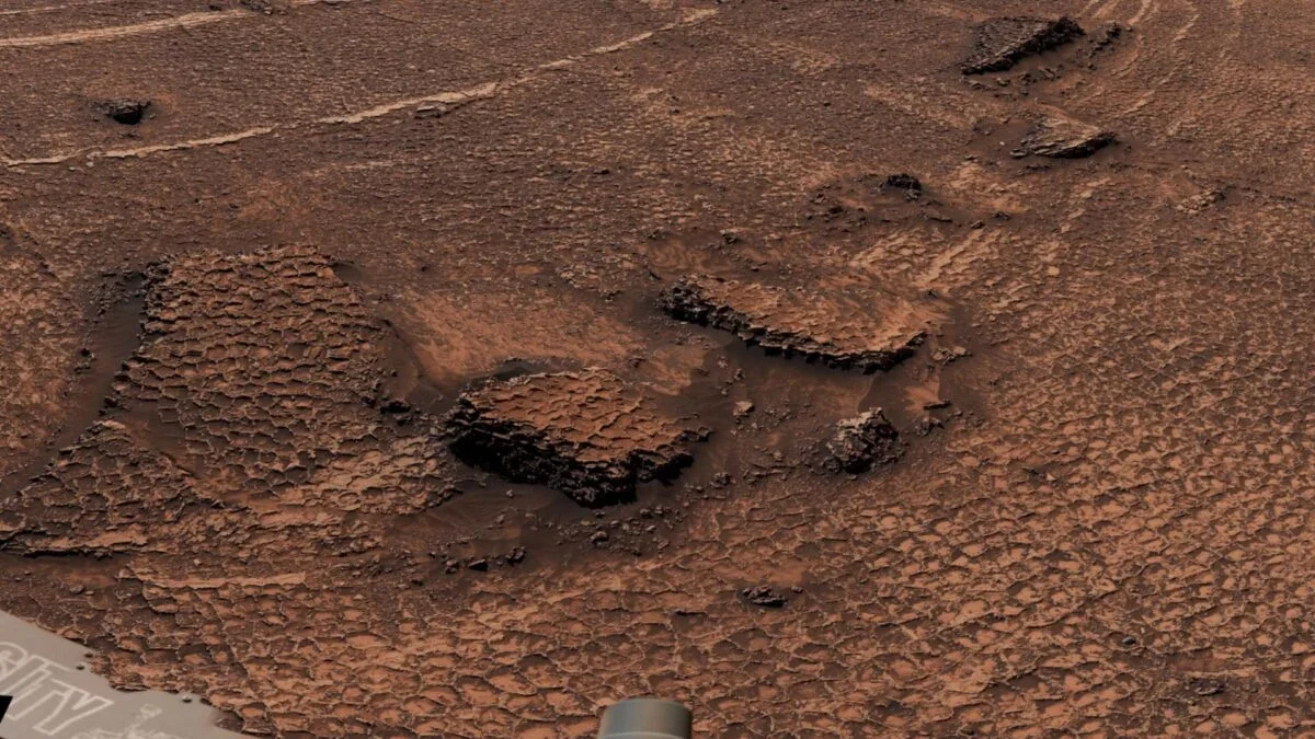 Curiosity Maps a Martian Honeycomb: A Vast Field of Polygonal Patterns on Mars