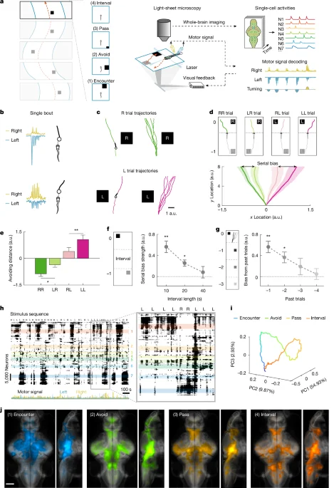 Memory-based thalamus–brainstem circuit biases decisions across trials