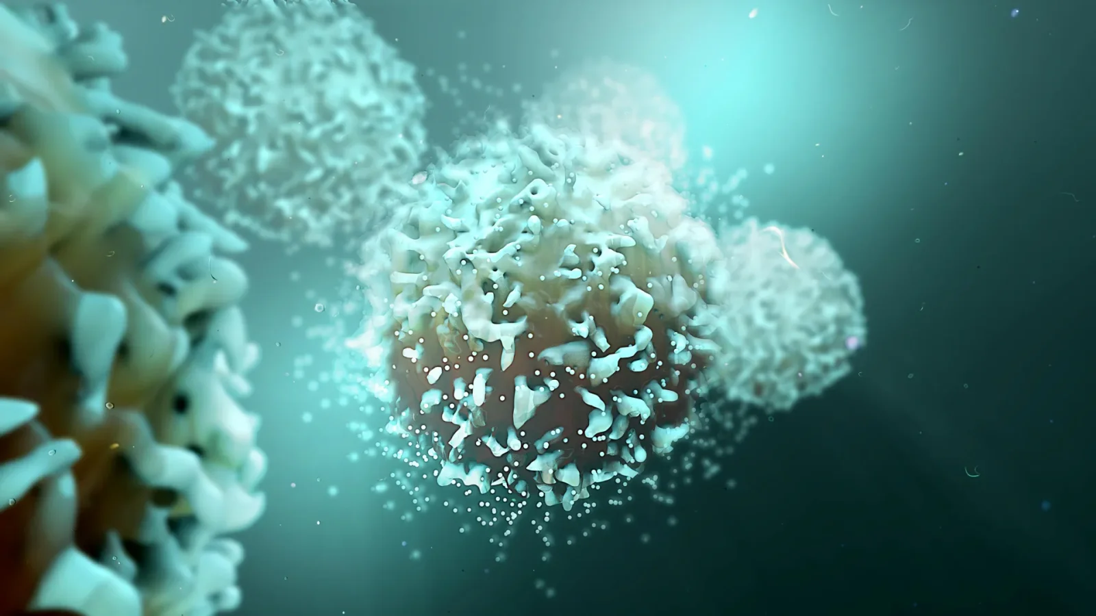 Turning Up T Cell Power: Ant2 Blockade Rewires Immune Metabolism to Fight Cancer