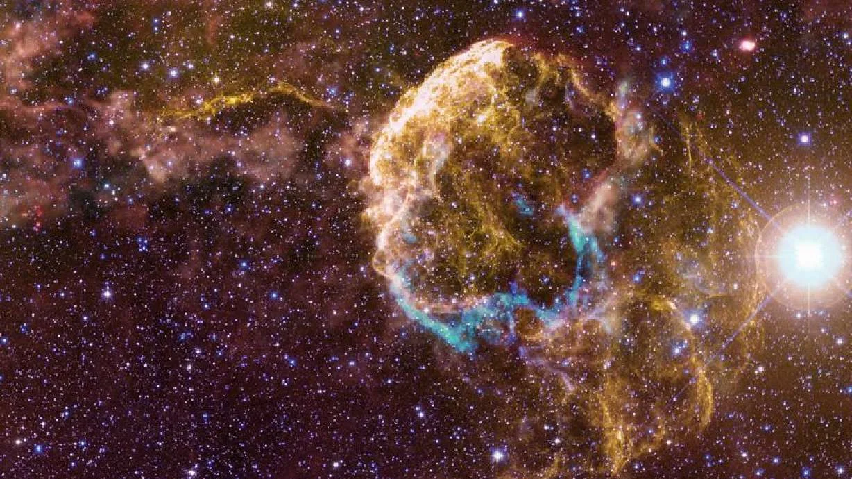 Rare double-supernova binary reveals history of two massive stars