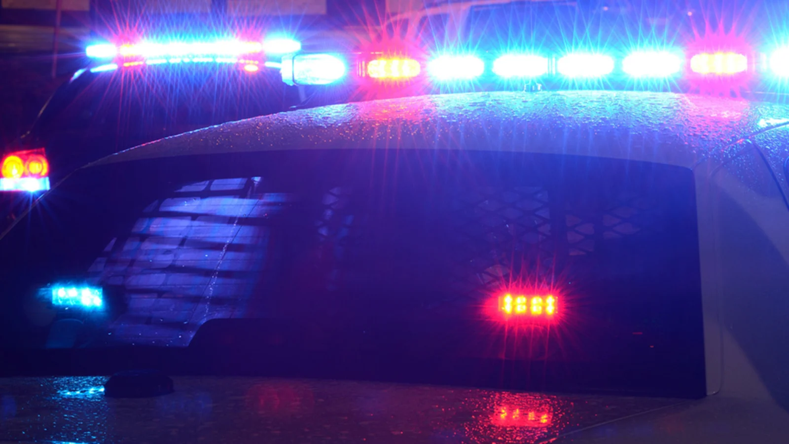 Sibling's Slingshot Saves Sister from Alleged Kidnapper