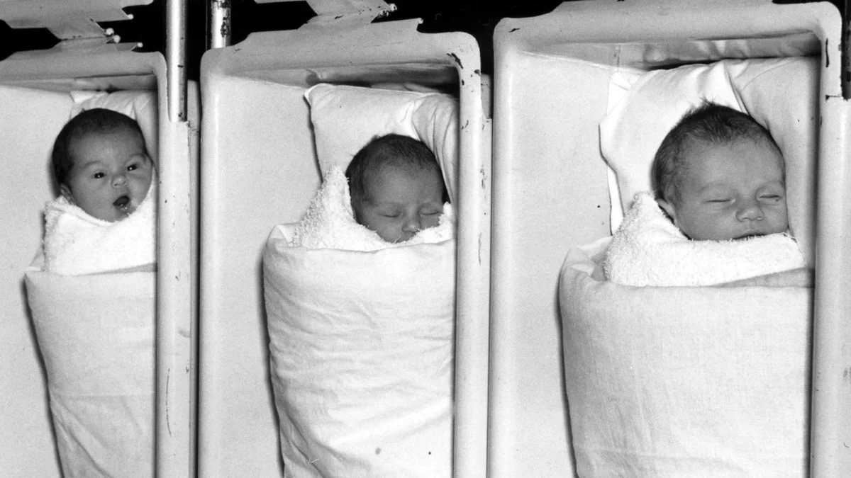 WWII sugar limits linked to lower cancer risk and slower aging