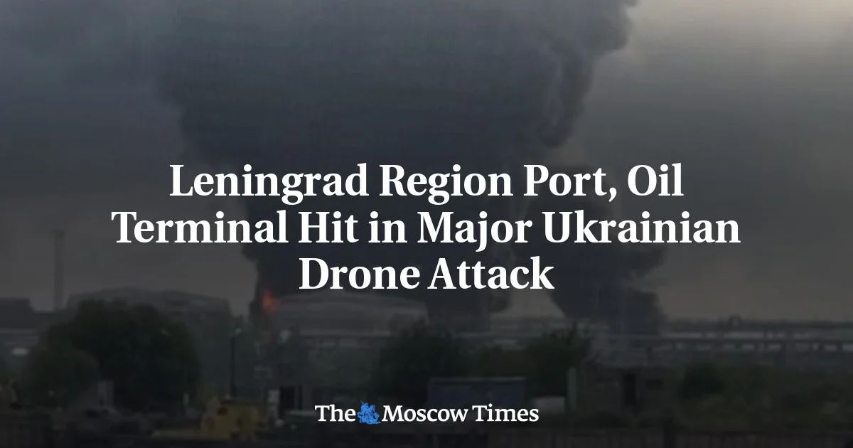 Ukraine Attacks Leningrad Region, Hit Oil Terminal in Drone Blitz