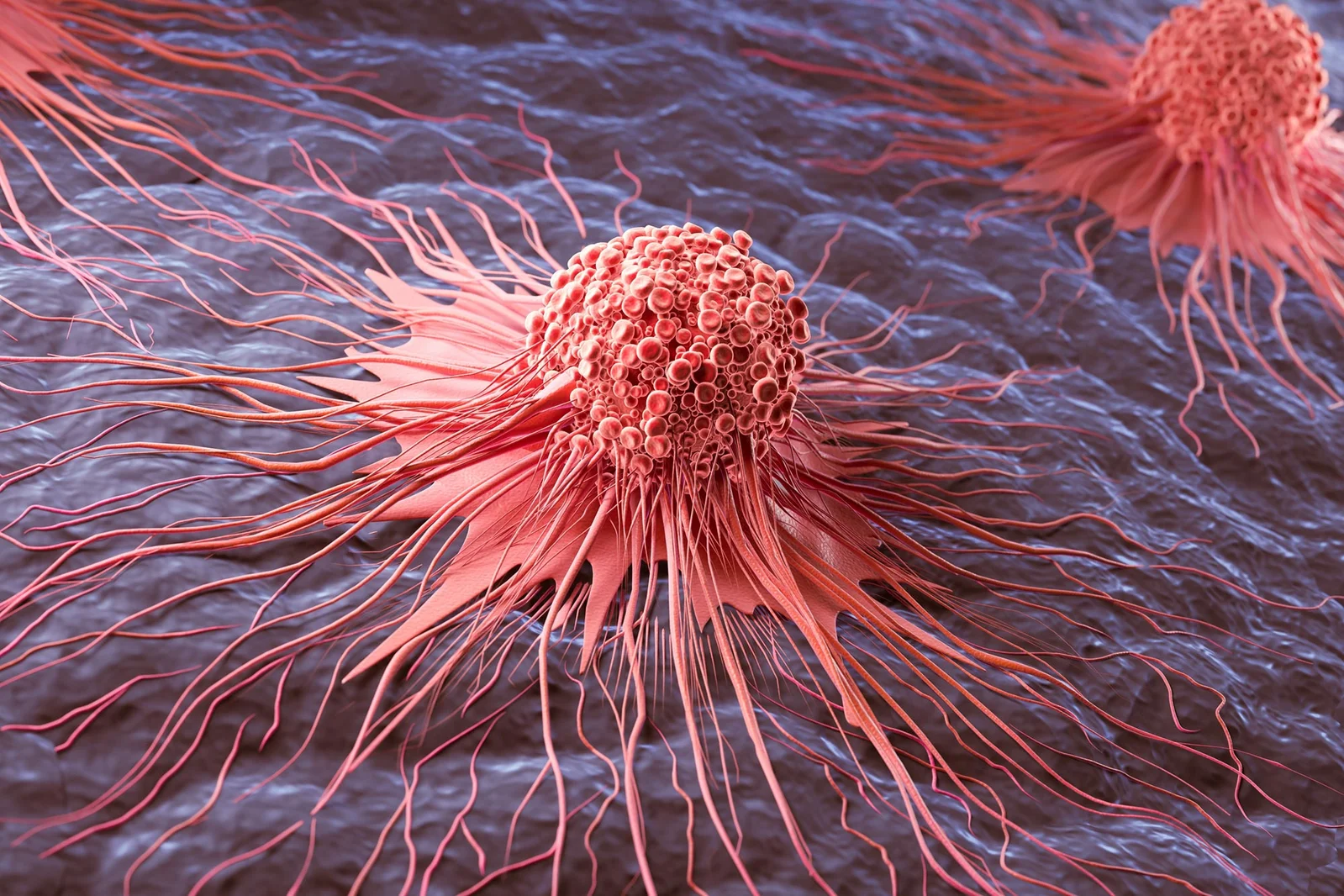 Cancer-fighting Strategy: Turning Iron-Heavy 'Zombie' Cells Against Their Tumors