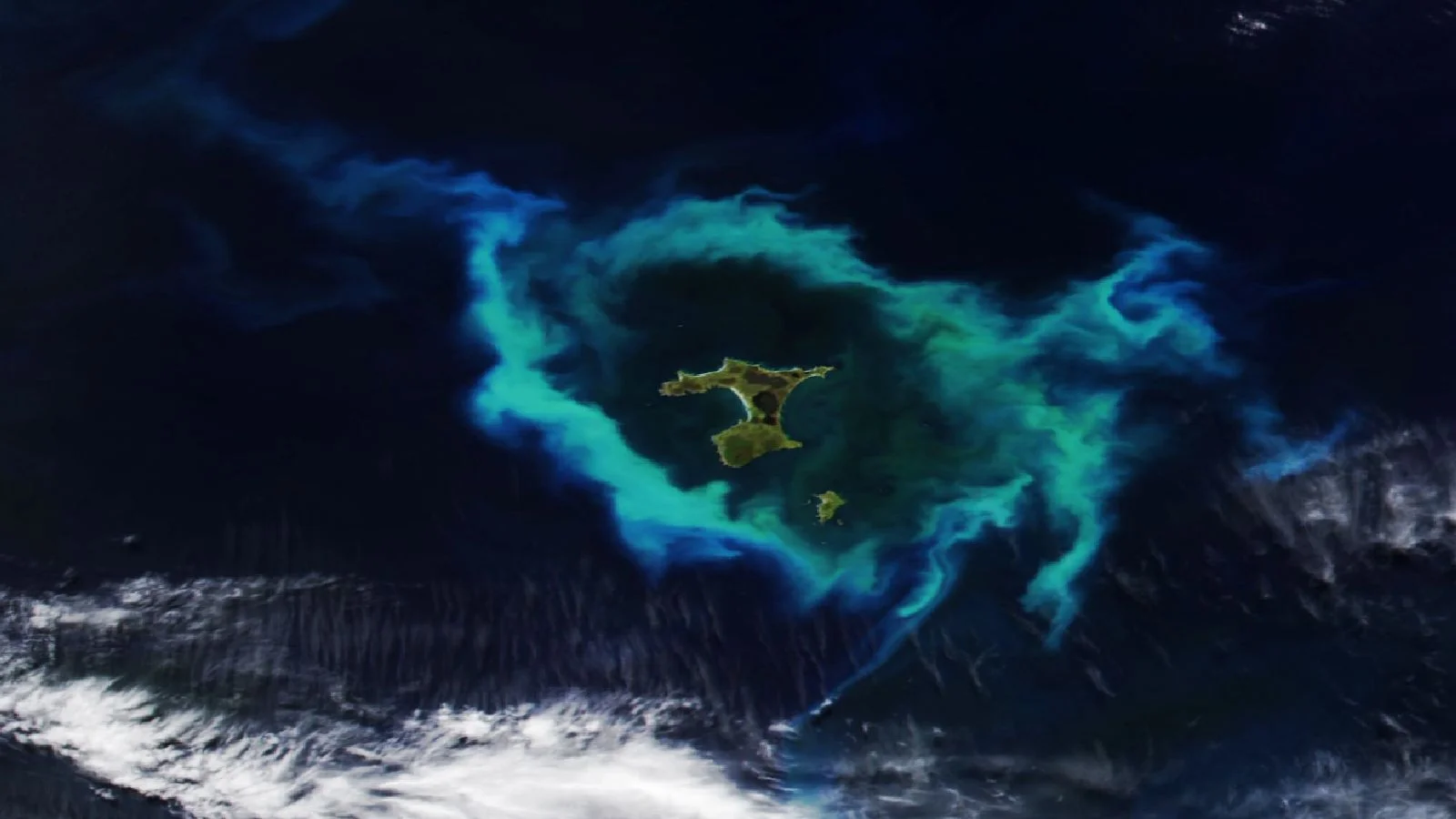 Halo of glowing plankton surrounds NZ’s Chatham Islands, powered by a hidden undersea plateau