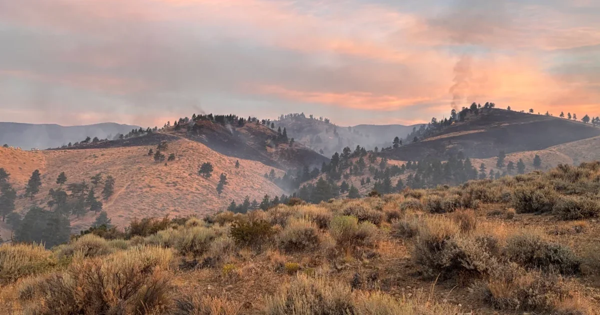 Power Restored, Housing Aid Expanded as Hawk Fire Claims Reno Woman’s Life