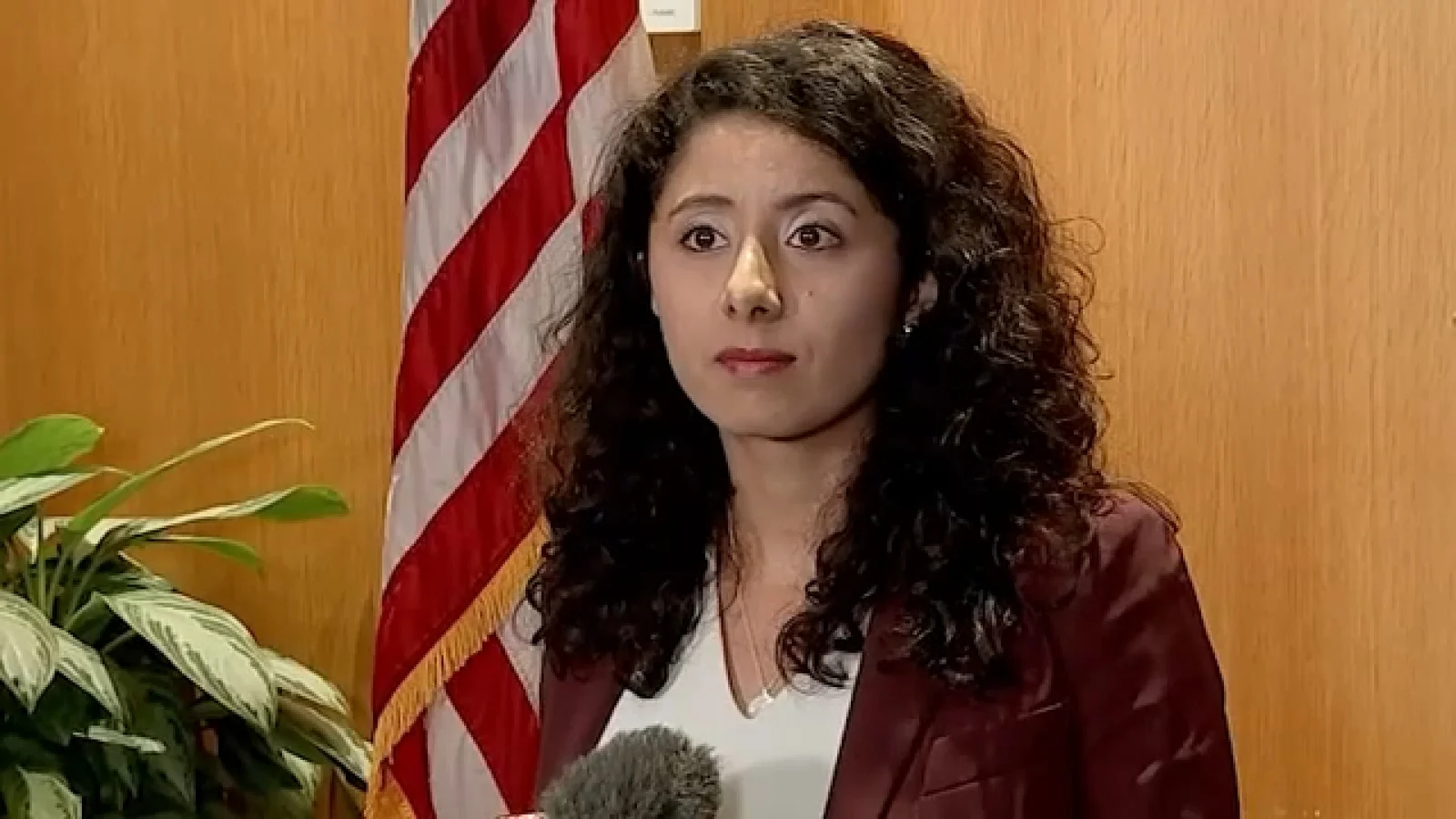 Hidalgo Takes a Public Health Pause After Mono Diagnosis