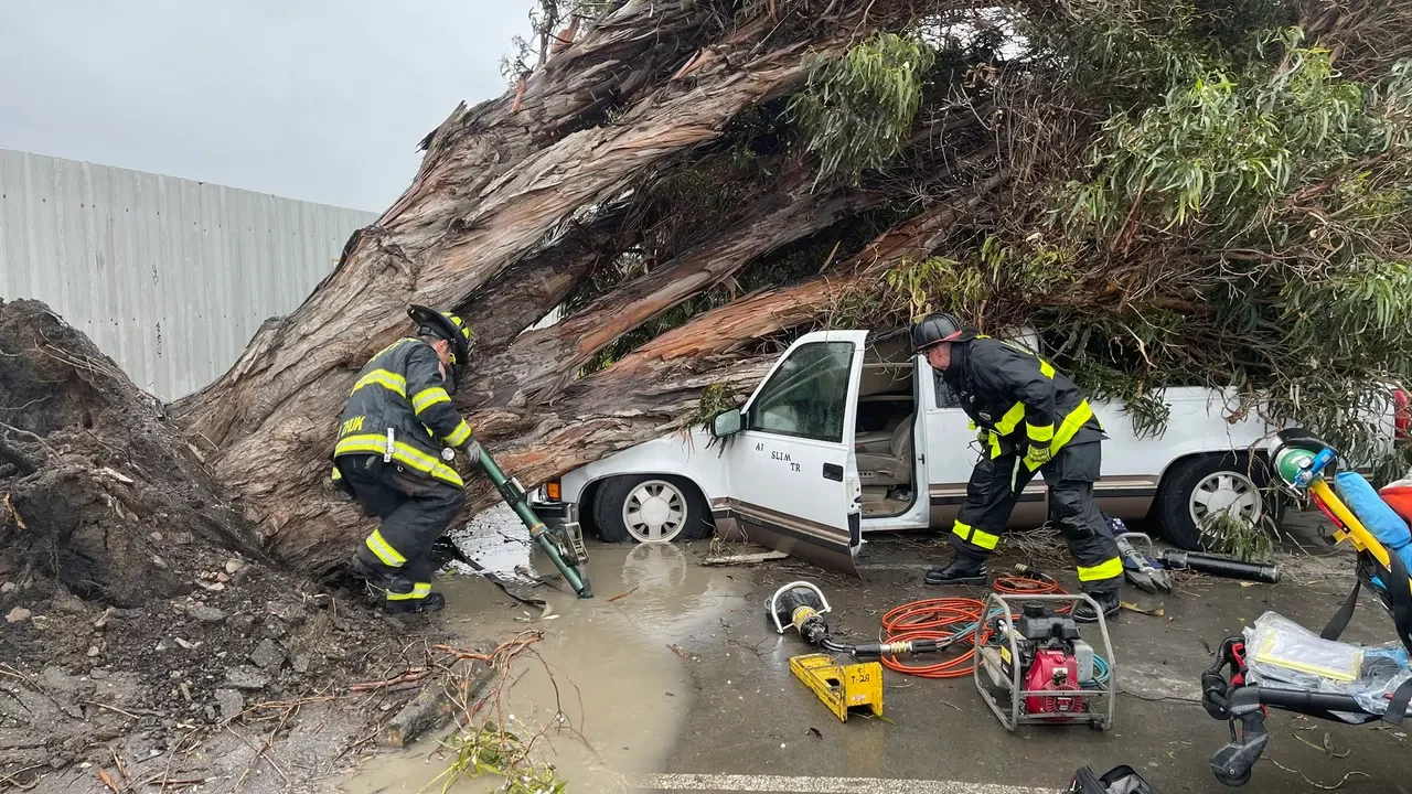 Bay Area Braces for Another Windstorm Amidst Recent Strong Storms.