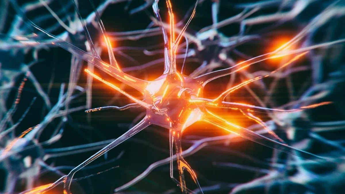 Midlife Blood Clues Could Flag Alzheimer's Risk Before Symptoms