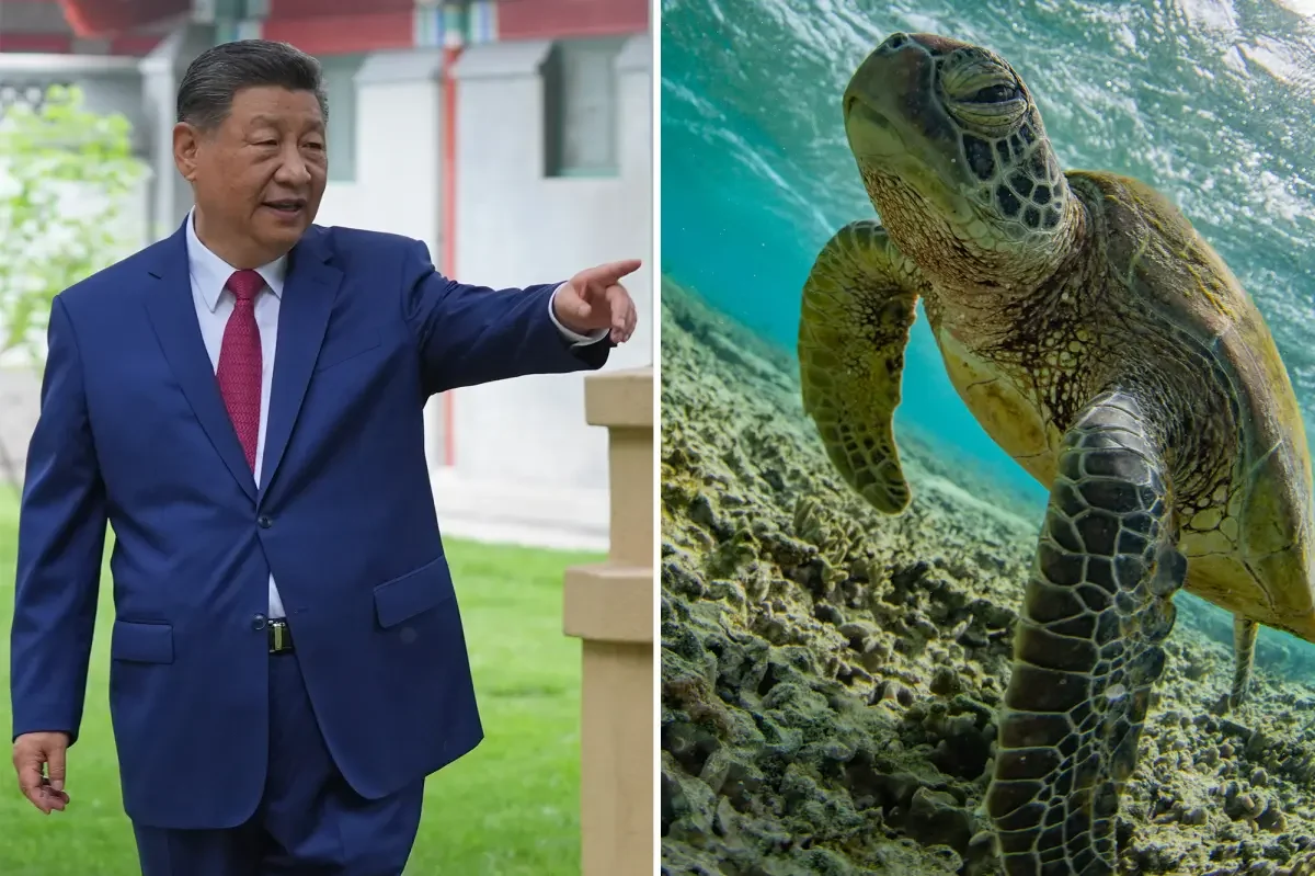 Beijing warns of undersea espionage by sensor-equipped sea life