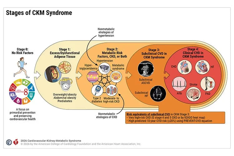2026 Guideline Unifies CKM Syndrome Care Across Specialties