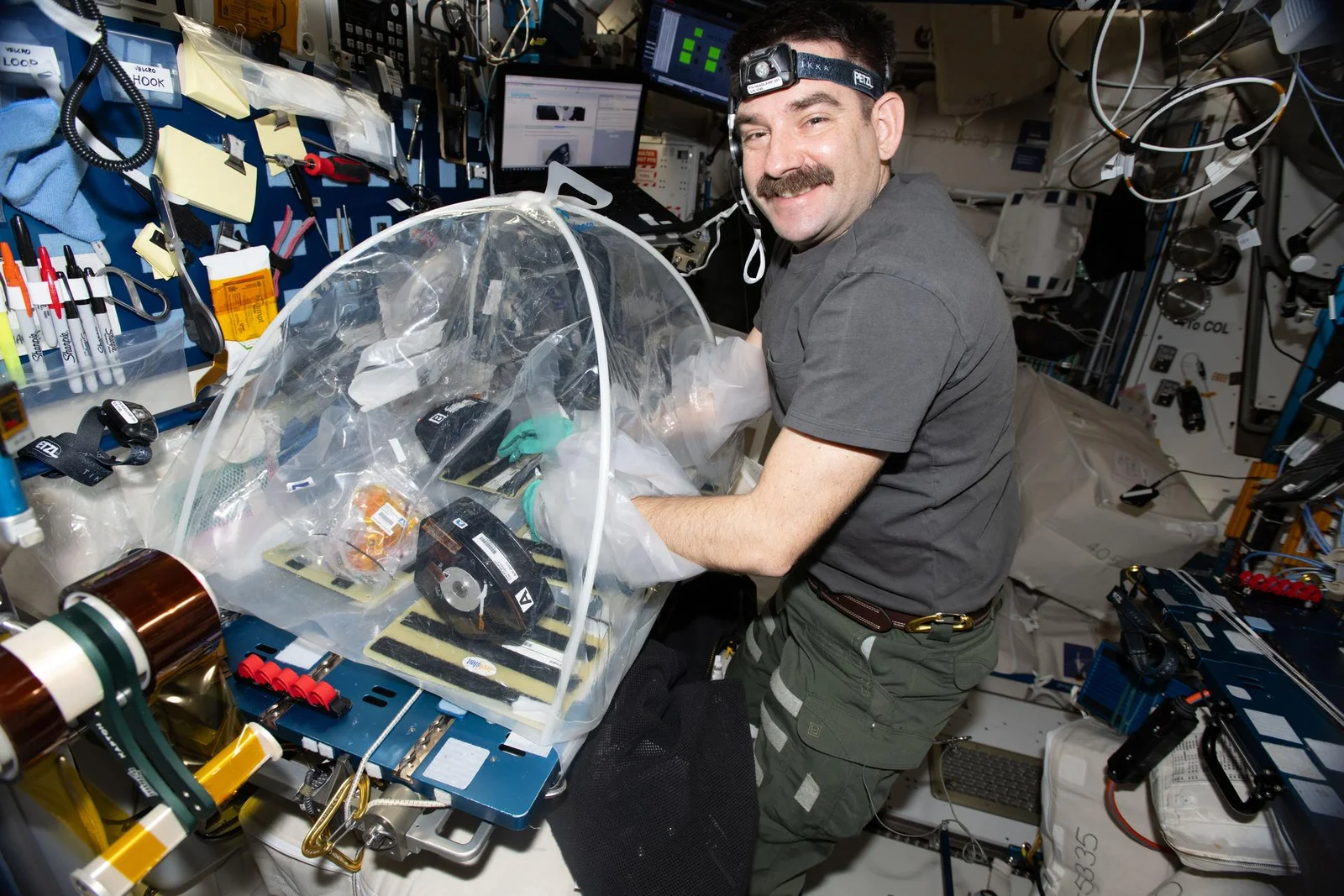 Space Pneumonia Research Aims to Protect Hearts on Earth