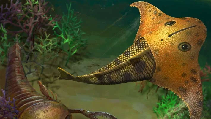 Batwing-Headed Jawless Fish Glided Devonian Seas, Study Finds