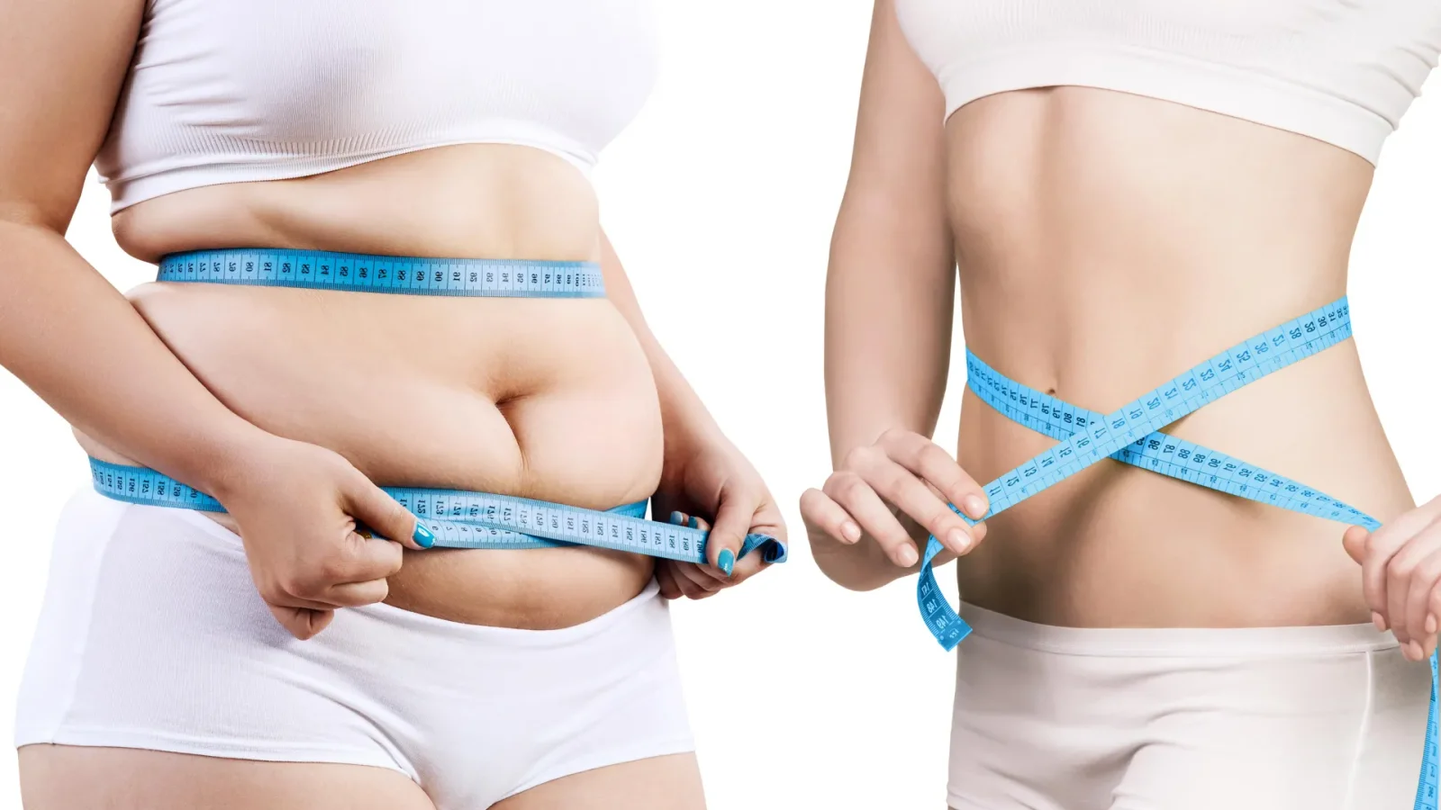 MTCH2 protein switch could boost fat burn while hindering new fat cells
