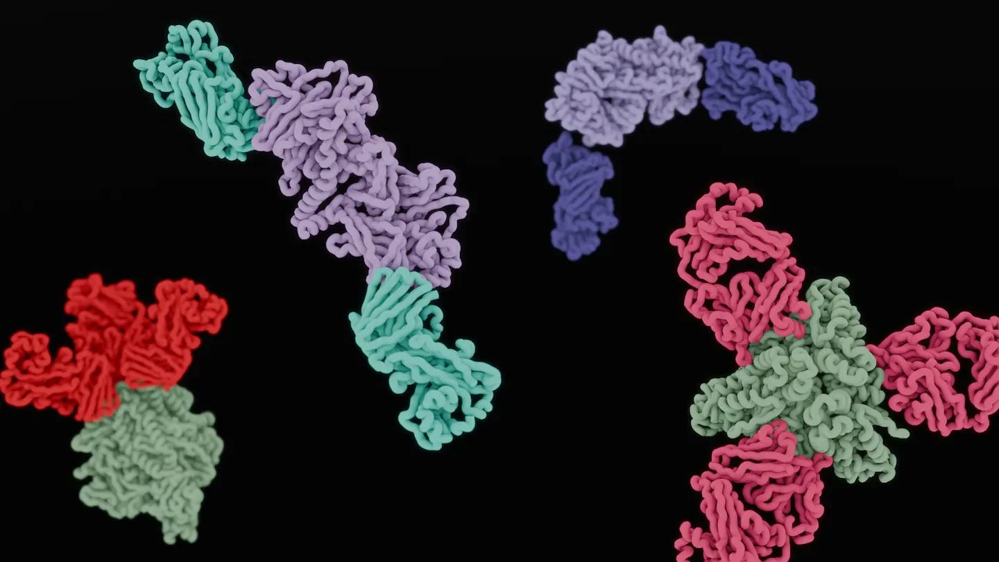 Lab-made antibodies offer potential post-exposure measles therapy