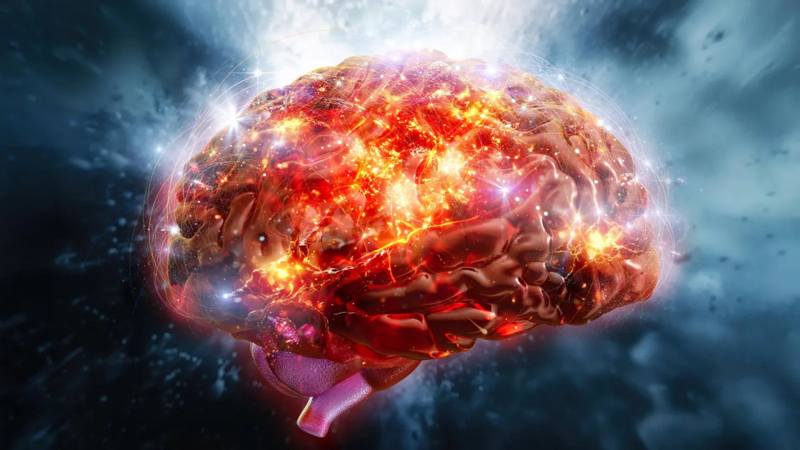 Exercise rewires the brain to boost endurance after the workout