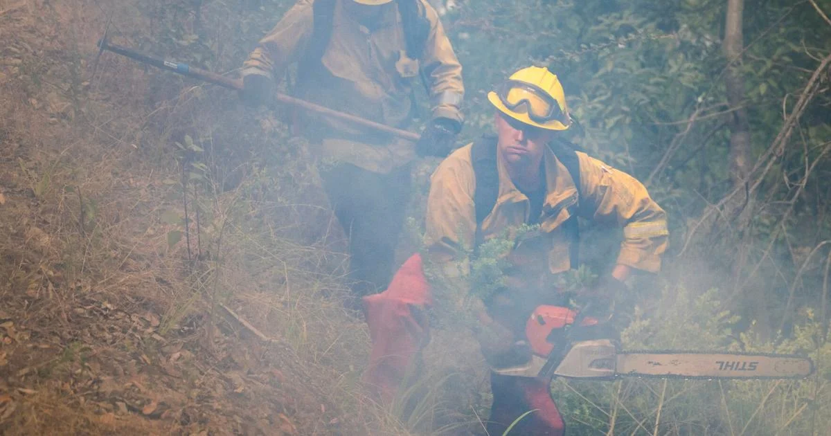 Officials warn unproven glutathione treatment for wildfire smoke exposure