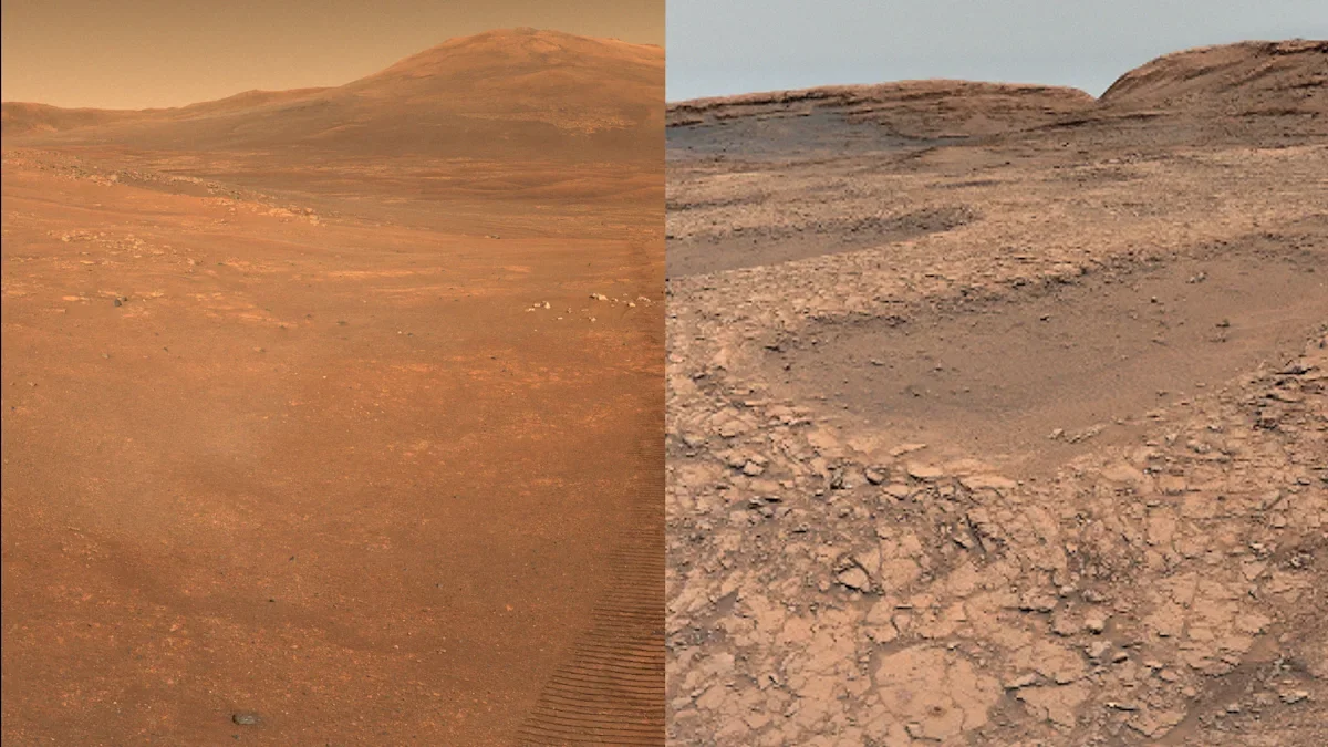 Mars in Dual Visions: Curiosity and Perseverance Reveal Contrasting Landscapes