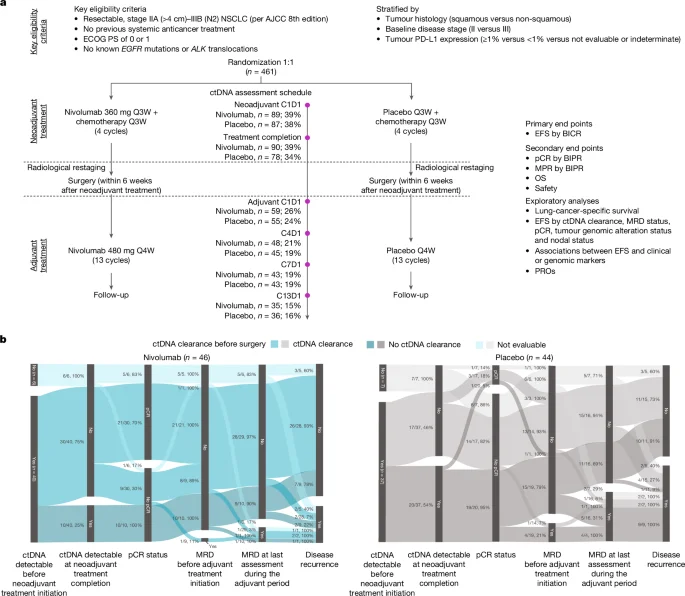 ctDNA clues anchor nivolumab’s benefit in perioperative NSCLC