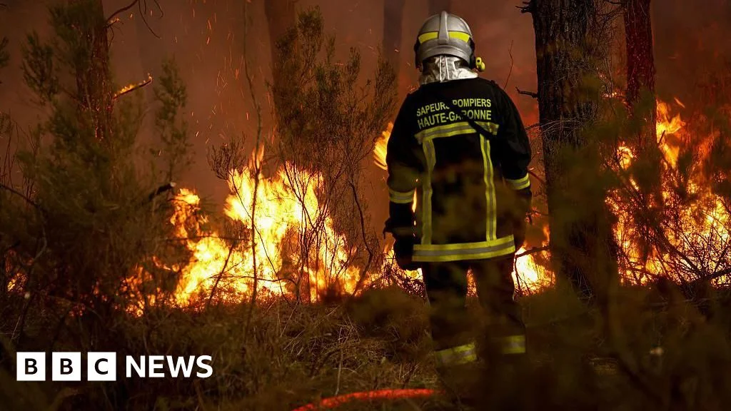 Wildfires in France and Spain Disrupt Summer Travel