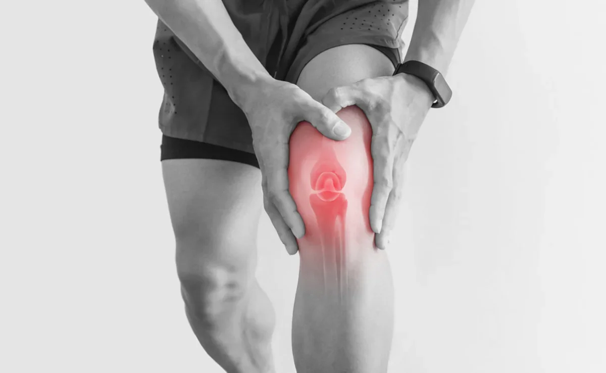 15-PGDH Blocker Reverses Age-Related Cartilage Degeneration