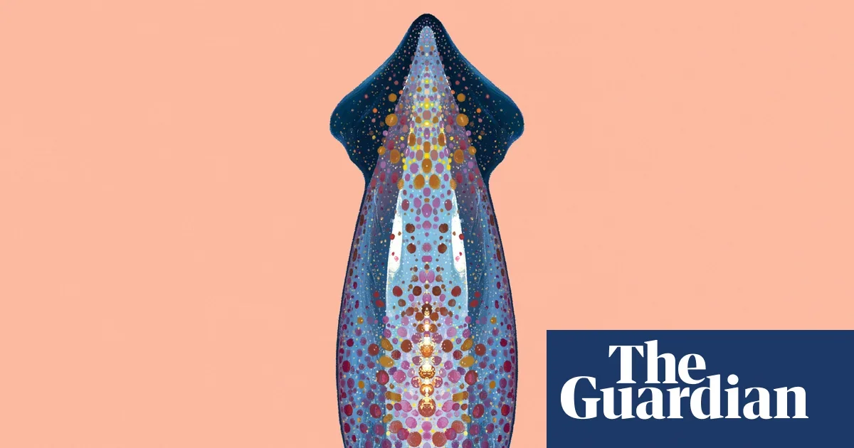 Squid take to the skies in synchronized aerial glide
