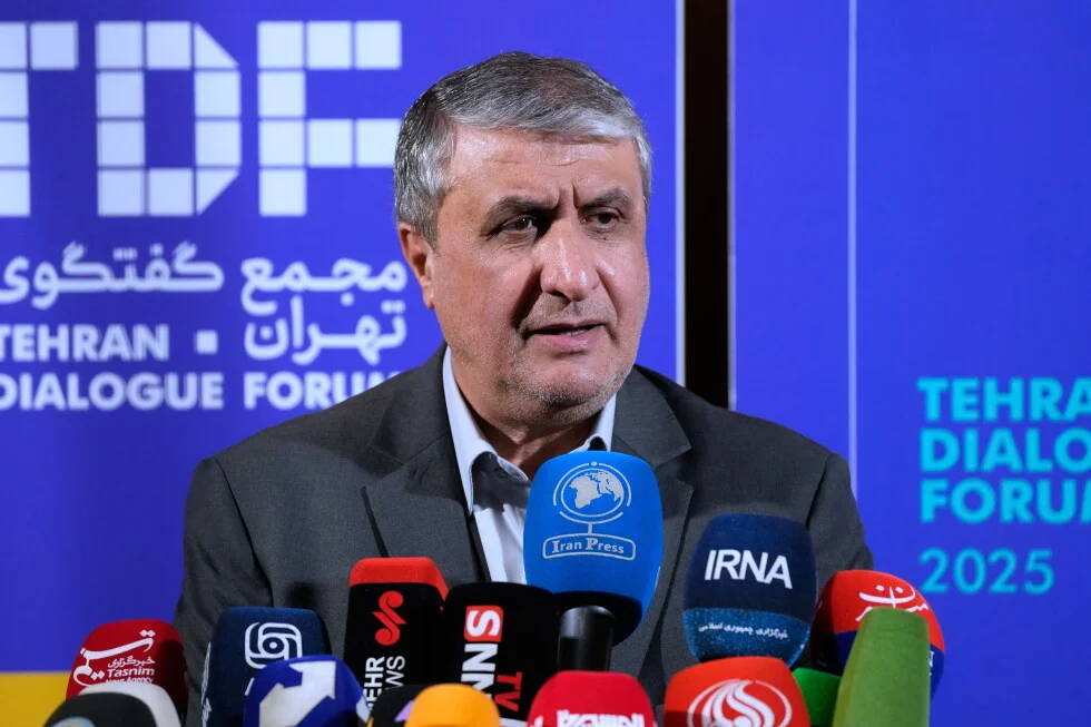 Iran's nuclear chief to skip key IAEA conference in Vienna