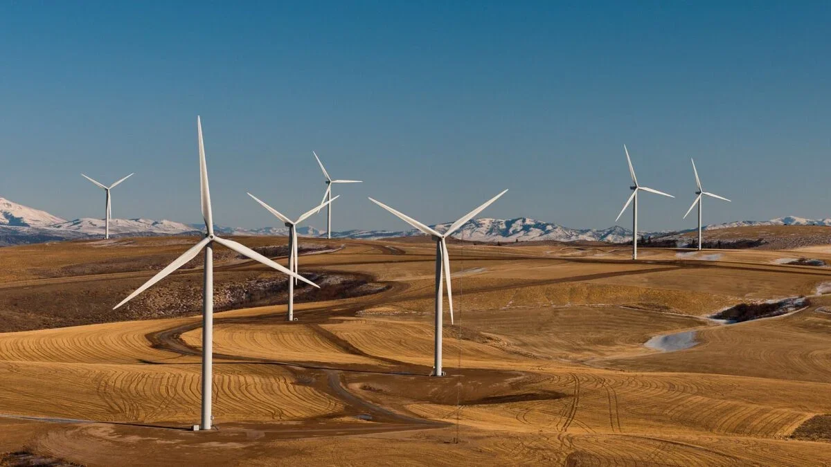 Wind Energy Wins a Round as DOJ Drops Trump’s Leasing Freeze